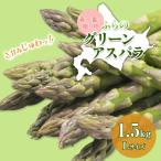 アスパラガス グリーン L