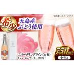 fu.... налог Sparkling вино can bell * early 2024 дом .. sake sake вино . остров город /. остров waina Lee [PAG031] Nagasaki префектура . остров город 