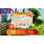 島のおいしいを贅沢に 某TV番組で紹介された希少なホワイト…