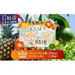 島のおいしいを贅沢に パイナップル2種食べ比べと青切りマ…