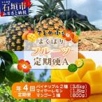 島のおいしいを贅沢に パイナップル2種とマンゴー