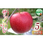 りんご サンつがる 5kg