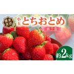いちご とちおとめ やよいひめ 約250g×8パック