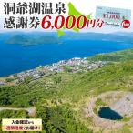 洞爺湖温泉感謝券 クーポン 温泉 リゾート