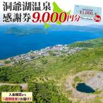 洞爺湖温泉感謝券 クーポン 温泉 リゾート