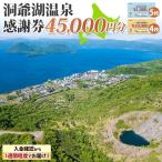 洞爺湖温泉感謝券 クーポン 温泉 リゾート
