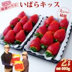 いちご 平詰めデラックス いばらキッス