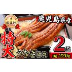ふるさと納税 i1078-A \特大サイズ/鹿児島県産 うなぎ蒲焼 2尾(約220g×2・計約440g) たれ 山椒付きうなぎ 鰻 ウナギ 特大 特大サイズ.. 鹿児島県出水市