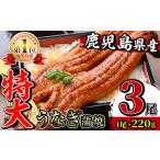 うなぎ蒲焼 特大 サイズ 3尾