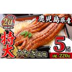 ふるさと納税 【出水市 誕生20周年企画！】 鹿児島県産 うなぎ蒲焼 特大 サイズ 5尾（約220g×5・計約1100g）【薩摩川内鰻】 i1078-C 鹿児島県出水市