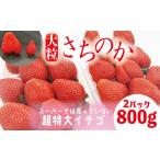 いちご さちのか 大粒 約800g