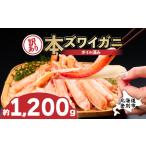 訳あり 冷凍 ボイル ずわいがに 足 1200g