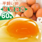 平飼い卵 なちゅら 60個