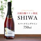 スパークリングワイン ロゼワイン 2本セット