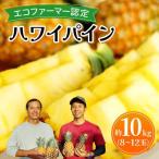 ハワイパイン約10kg