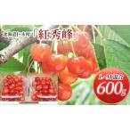 ふるさと納税 北海道 仁木町産 さくらんぼ 紅秀峰 600g (300g×2パック) L-Mサイズ 混合 旬 桜桃 産地直送 サクランボ チェリー フルーツ .. 北海道仁木町