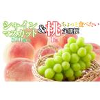 ふるさと納税 【ちょっと食べたい定期便】桃 約1kg(3〜4玉)×シャインマスカット500g以上 126-024 山梨県笛吹市