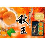柿 秋王 約1750g