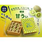 キウイ 博多 甘ういの贅沢果実 約1.8kg