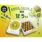 キウイ 博多 甘ういの贅沢果実 約3.6kg