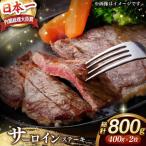 出島ばらいろサーロインステーキ約800g