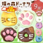 3回 定期便 レギュラードーナツ9個BOX