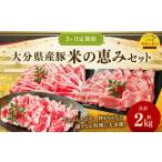 173-1291 産豚 米の恵み セット 合計約2kg