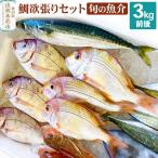 漁師直送 甘鯛 あまだい 3kg+おまかせ鮮魚