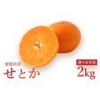 みかん せとか 2kg