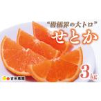 せとか 3kg