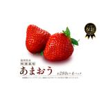 ふるさと納税 【2026年3月発送】いちご あまおう 1120g いちご いちご いちご いちご いちご ONE002 福岡県川崎町