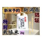 ふるさと納税 【令和8�