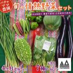野菜 無農薬 農園自慢の情熱野菜セット 7種