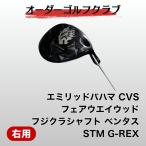 ゴルフクラブ エミリッドバハマCVS フジクラベンタス