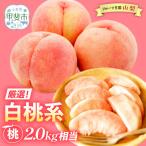 “厳選” 白桃系 桃 2.0kg相当 先行 フルーツ