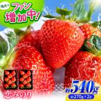 いちご 恋みのり 約540g