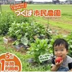 市民農園 ハルファーム 利用券 5m2 1年分