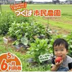 市民農園 ハルファーム 利用券 5m2 6ヵ月分