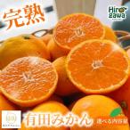 有田育ちのご 完熟 有田みかん 7.7kg