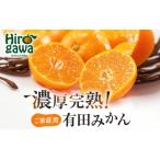 ふるさと納税 有田育ちの ご家庭用 完熟 有田みかん 10.2kg(10kg+200g) 農家直送 わけあり 訳あり ※11月上旬から下旬頃に順次発送予定 / 温.. 和歌山県広川町
