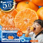伊木力みかん 大玉 5kg
