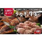 ふるさと納税 大満足の夢コラボ☆うなぎ&厚切り牛タンセット≪みやこんじょ特急便≫_AC-3308-Q_(都城市) 訳あり 不揃い スリット加工 塩麹 .. 宮崎県都城市