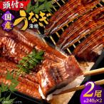 うなぎ うなぎの蒲焼×2尾 頭付き うなぎの源内