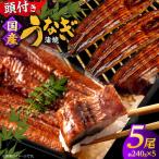うなぎの蒲焼×5尾 頭付き 鰻 ウナギ かば焼き