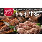ふるさと納税 大満足の夢コラボ☆うなぎ&厚切り牛タンセット_AC-3308_(都城市) 訳あり 不揃い スリット加工 塩麹 牛 タン 国産うなぎ 蒲焼 宮崎県都城市