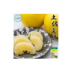 農家直送 土佐文旦 小玉 約3kg