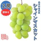 ふるさと納税 【南信州高森産】訳ありシャインマスカット　2房 長野県高森町