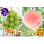 ふるさと納税 【定期便】大人気!甲州市産厳選旬の大玉桃・大粒シャインマスカット全2回定期便【2025年発送】(MG)C1-482 【桃 もも モモ シャ.. 山梨県甲州市