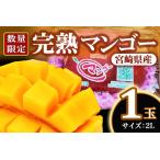 マンゴー フルーツ デザート 甘い 果物 くだもの