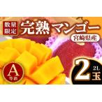 2玉入り
